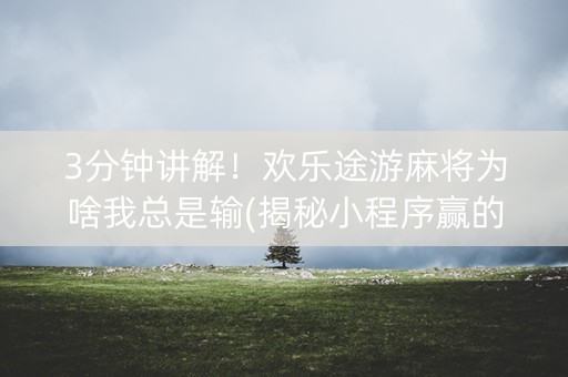 3分钟讲解！欢乐途游麻将为啥我总是输(揭秘小程序赢的秘诀)