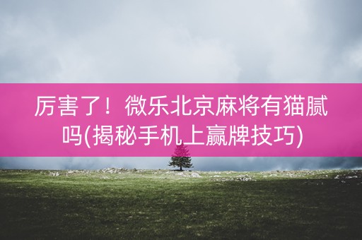 厉害了！微乐北京麻将有猫腻吗(揭秘手机上赢牌技巧)