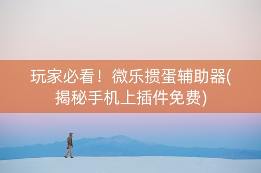 玩家必看！微乐掼蛋辅助器(揭秘手机上插件免费)