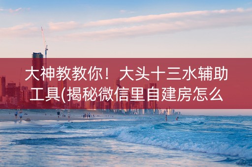 大神教教你！大头十三水辅助工具(揭秘微信里自建房怎么赢)