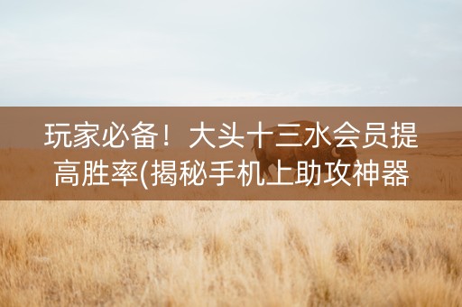 玩家必备！大头十三水会员提高胜率(揭秘手机上助攻神器)
