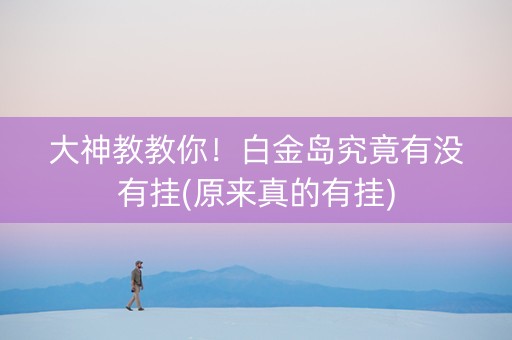 大神教教你！白金岛究竟有没有挂(原来真的有挂)