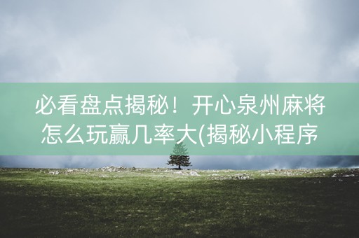 必看盘点揭秘！开心泉州麻将怎么玩赢几率大(揭秘小程序最新神器下载)