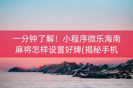 一分钟了解！小程序微乐海南麻将怎样设置好牌(揭秘手机上辅牌器)