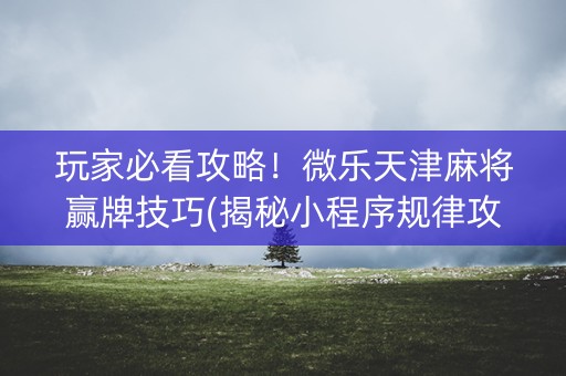 玩家必看攻略！微乐天津麻将赢牌技巧(揭秘小程序规律攻略)