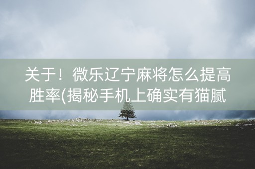 关于！微乐辽宁麻将怎么提高胜率(揭秘手机上确实有猫腻)