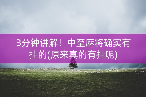 3分钟讲解！中至麻将确实有挂的(原来真的有挂呢)