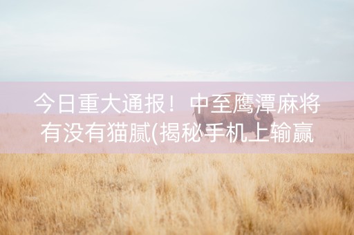 今日重大通报！中至鹰潭麻将有没有猫腻(揭秘手机上输赢技巧)