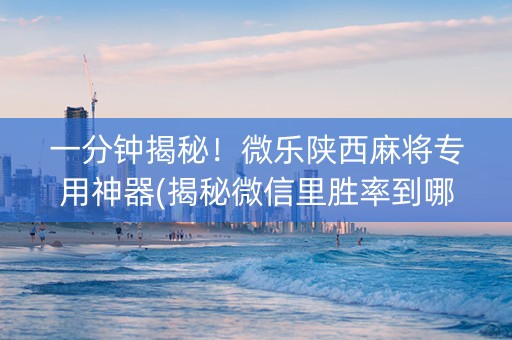 一分钟揭秘！微乐陕西麻将专用神器(揭秘微信里胜率到哪调)