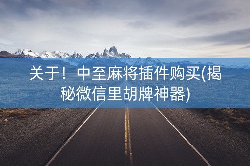 关于！中至麻将插件购买(揭秘微信里胡牌神器)