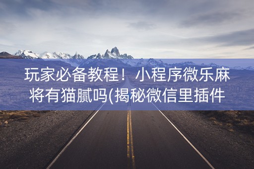玩家必备教程！小程序微乐麻将有猫腻吗(揭秘微信里插件购买)