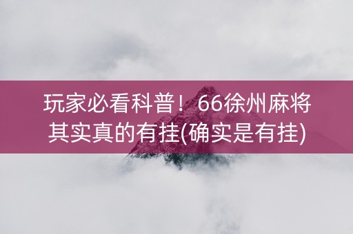 玩家必看科普！66徐州麻将其实真的有挂(确实是有挂)