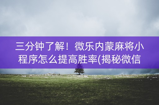 三分钟了解！微乐内蒙麻将小程序怎么提高胜率(揭秘微信里最新神器下载)