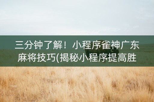 三分钟了解！小程序雀神广东麻将技巧(揭秘小程序提高胜率)