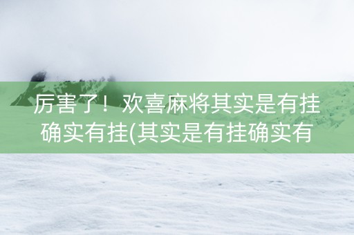 厉害了！欢喜麻将其实是有挂确实有挂(其实是有挂确实有挂)