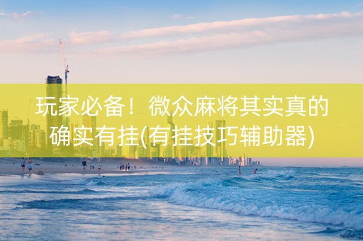 玩家必备！微众麻将其实真的确实有挂(有挂技巧辅助器)