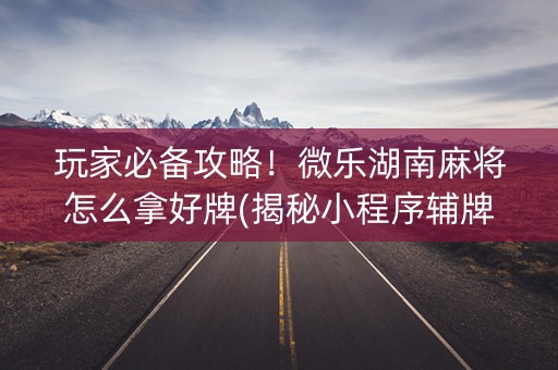 玩家必备攻略！微乐湖南麻将怎么拿好牌(揭秘小程序辅牌器)