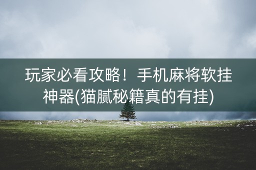 玩家必看攻略！手机麻将软挂神器(猫腻秘籍真的有挂)