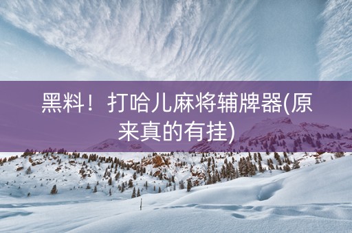 黑料！打哈儿麻将辅牌器(原来真的有挂)
