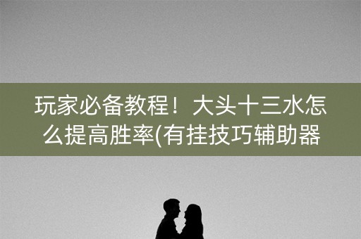 玩家必备教程！大头十三水怎么提高胜率(有挂技巧辅助器)