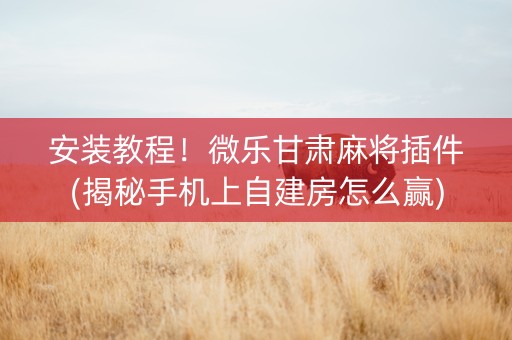 安装教程！微乐甘肃麻将插件(揭秘手机上自建房怎么赢)