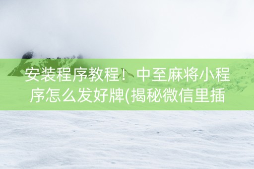 安装程序教程！中至麻将小程序怎么发好牌(揭秘微信里插件下载)
