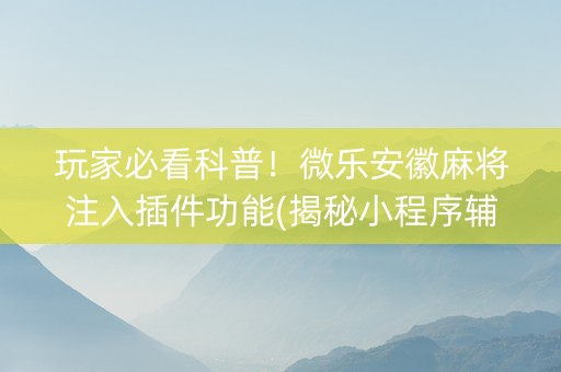 玩家必看科普！微乐安徽麻将注入插件功能(揭秘小程序辅牌器)
