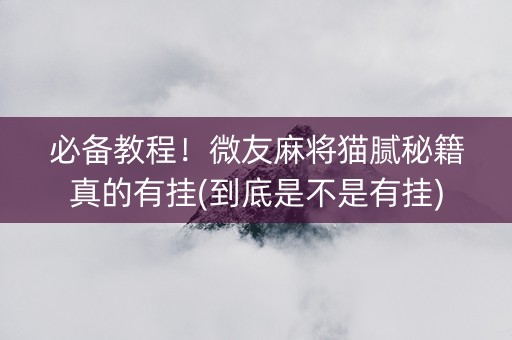 必备教程！微友麻将猫腻秘籍真的有挂(到底是不是有挂)