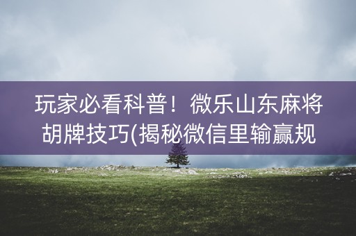 玩家必看科普！微乐山东麻将胡牌技巧(揭秘微信里输赢规律)
