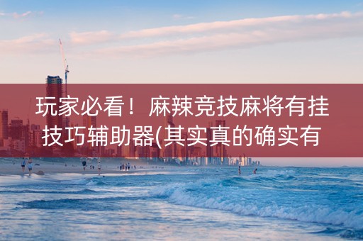 玩家必看！麻辣竞技麻将有挂技巧辅助器(其实真的确实有挂)