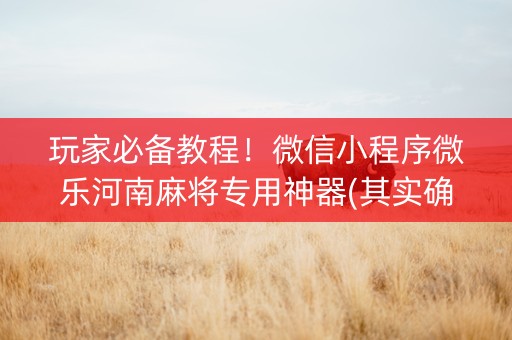 玩家必备教程！微信小程序微乐河南麻将专用神器(其实确实有挂)