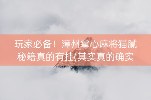 玩家必备！漳州掌心麻将猫腻秘籍真的有挂(其实真的确实有挂)