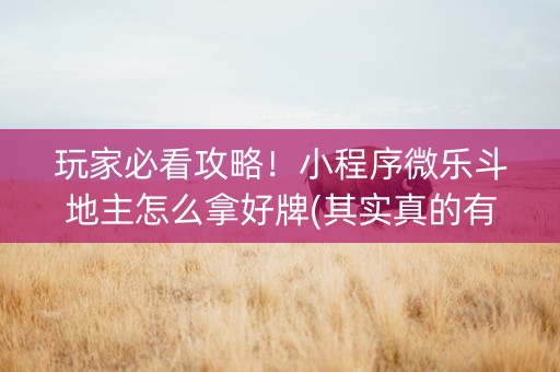 玩家必看攻略！小程序微乐斗地主怎么拿好牌(其实真的有挂)