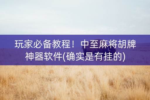 玩家必备教程！中至麻将胡牌神器软件(确实是有挂的)