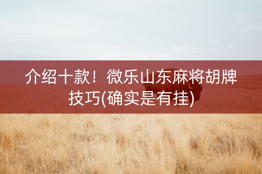 介绍十款！微乐山东麻将胡牌技巧(确实是有挂)