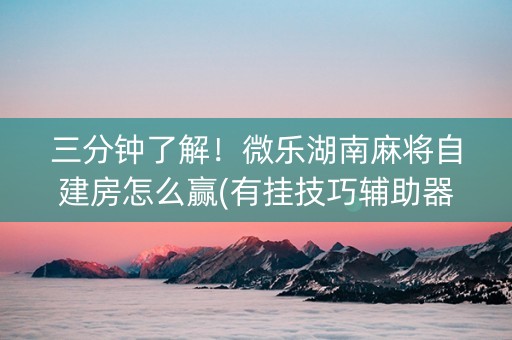 三分钟了解！微乐湖南麻将自建房怎么赢(有挂技巧辅助器)