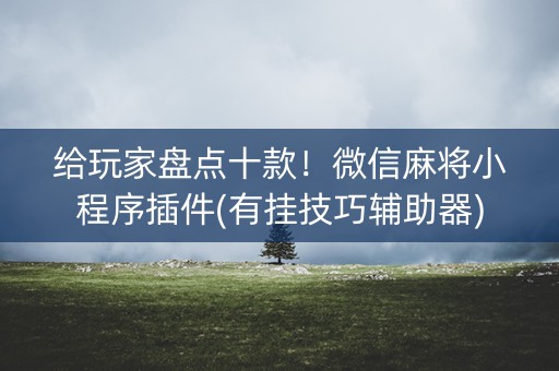 给玩家盘点十款！微信麻将小程序插件(有挂技巧辅助器)