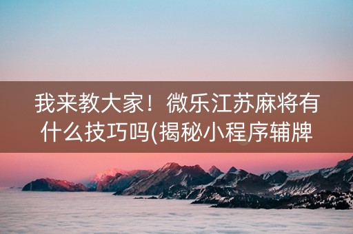 我来教大家！微乐江苏麻将有什么技巧吗(揭秘小程序辅牌器)