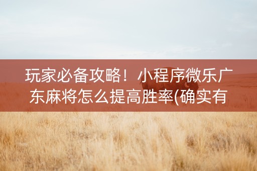 玩家必备攻略！小程序微乐广东麻将怎么提高胜率(确实有挂吗)