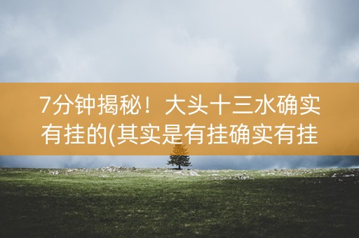 7分钟揭秘！大头十三水确实有挂的(其实是有挂确实有挂)