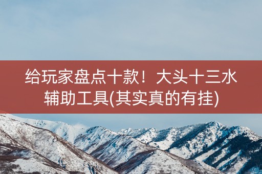 给玩家盘点十款！大头十三水辅助工具(其实真的有挂)