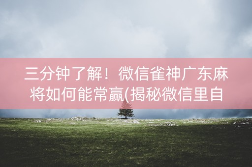 三分钟了解！微信雀神广东麻将如何能常赢(揭秘微信里自建房怎么赢)