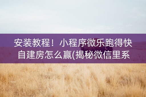 安装教程！小程序微乐跑得快自建房怎么赢(揭秘微信里系统发好牌)