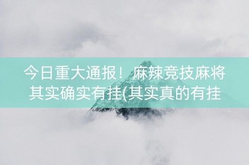 今日重大通报！麻辣竞技麻将其实确实有挂(其实真的有挂)