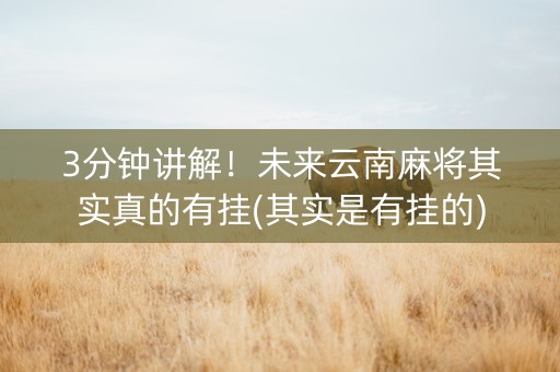 3分钟讲解！未来云南麻将其实真的有挂(其实是有挂的)