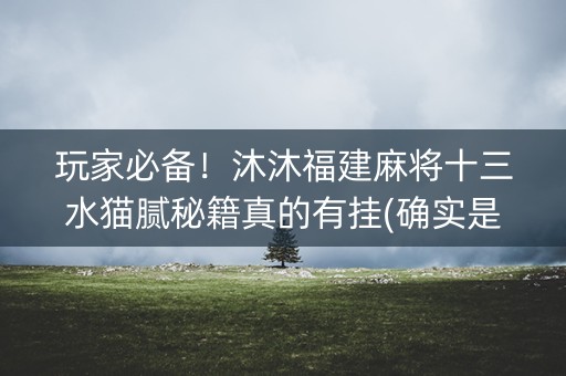 玩家必备！沐沐福建麻将十三水猫腻秘籍真的有挂(确实是有挂)