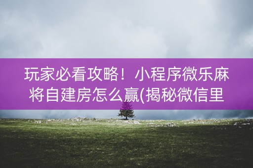 玩家必看攻略！小程序微乐麻将自建房怎么赢(揭秘微信里辅牌器)