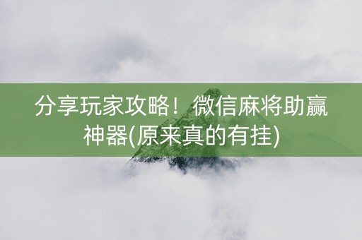 分享玩家攻略！微信麻将助赢神器(原来真的有挂)
