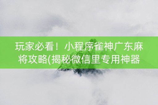 玩家必看！小程序雀神广东麻将攻略(揭秘微信里专用神器下载)