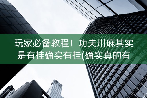玩家必备教程！功夫川麻其实是有挂确实有挂(确实真的有挂)